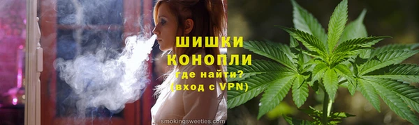 PSILOCYBIN Армянск