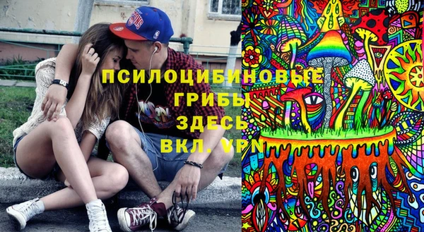 бошки Аркадак