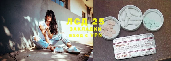 прущие грибы Алексеевка